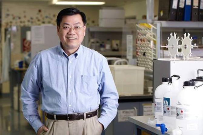 Giáo sư Nguyễn Văn Tuấn